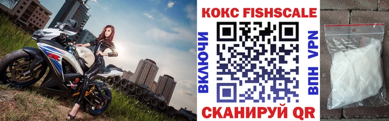 Купить закладки  Нижний Тагил  Кокаин FishScale 