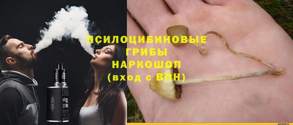 прущая мука Кукмор