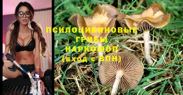 прущая мука Кукмор